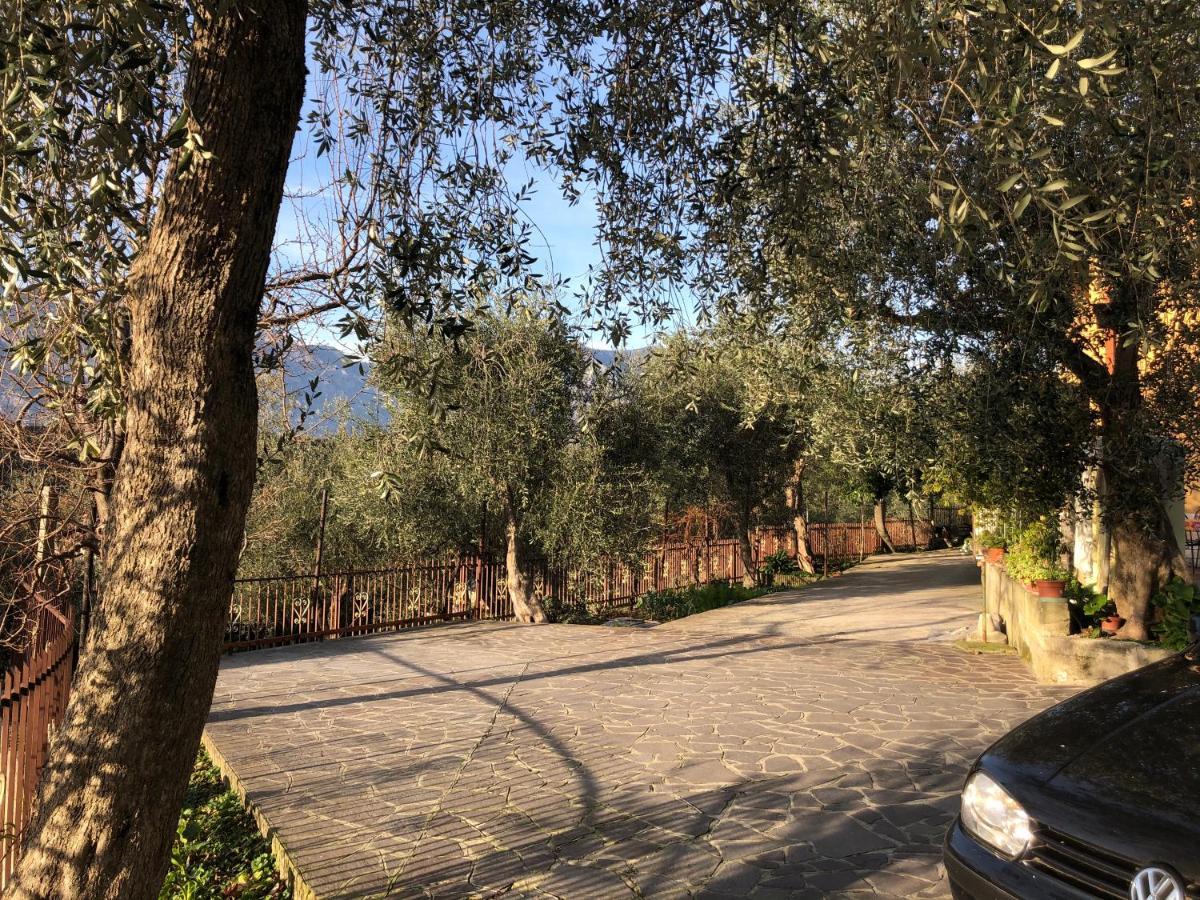 Appartamento Nonna Rosa Malcesine Zewnętrze zdjęcie